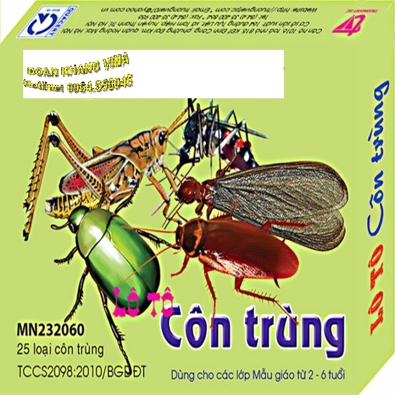 Lô tô côn trùng DK 090-59