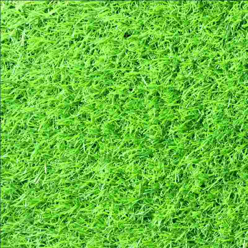 Thảm cỏ nhân tạo dày 25 mm DK 050-2