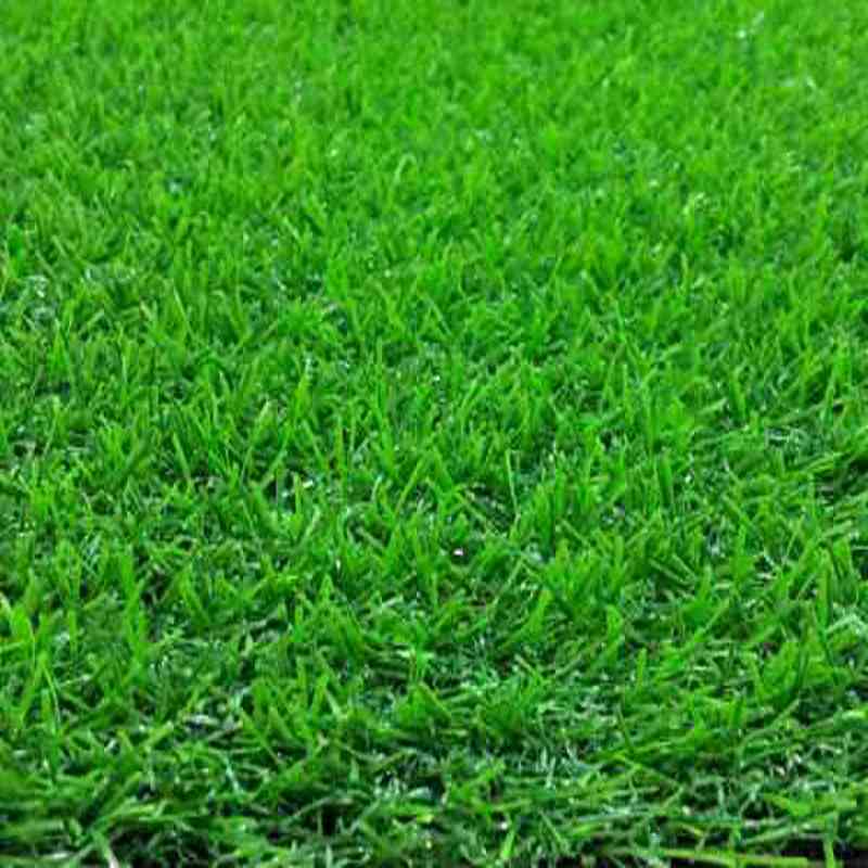 Thảm cỏ nhân tạo 3cm DK 050-1